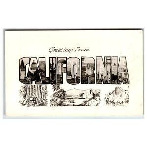 Greetings From California Large Letter RPPC Postcard Redwood Mission Real Photo